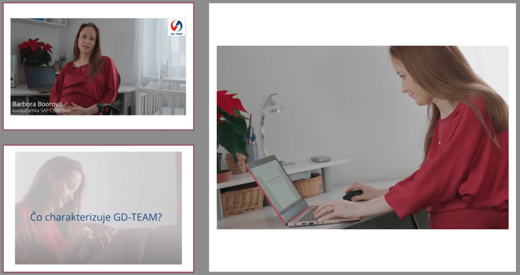 gd-Team, SAP, konzultant