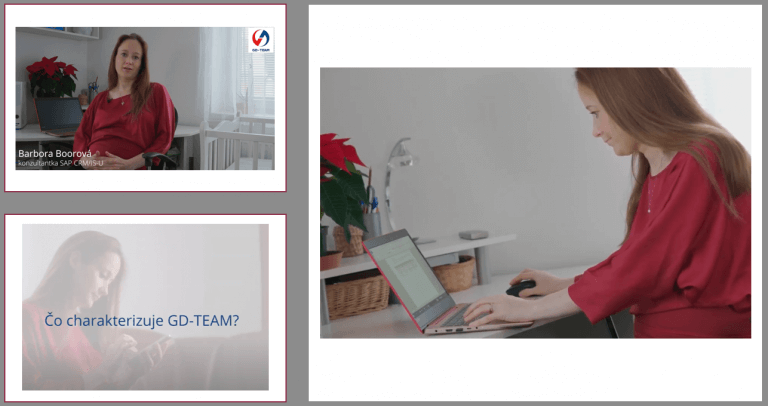 gd-Team, SAP, konzultant